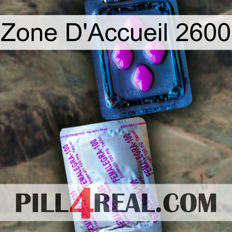 Home Zone 2600 37